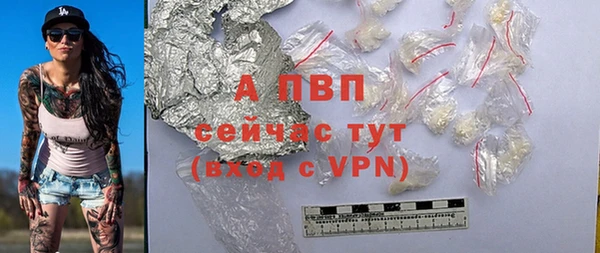 мет Алексин