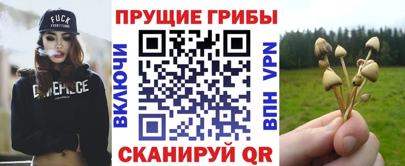 цены   Североуральск  Галлюциногенные грибы мухоморы 
