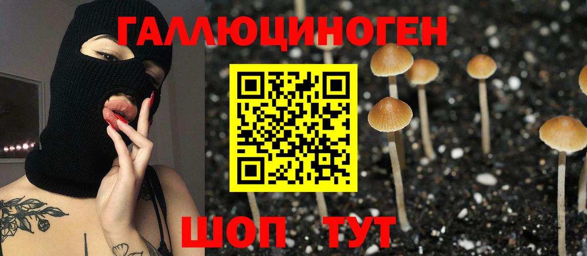 Псилоцибиновые грибы Cubensis  Псилоцибиновые грибы мицелий  Вход с VPN  Североуральск 
